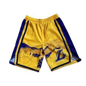 NBA LA Lakers Purple/Yellow Basketball Shorts - EUC - Boys XL 18/20